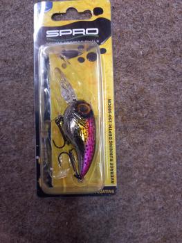 Fat Iris 40 DR Hardlure